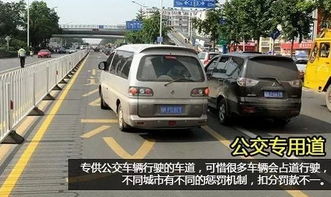 汽车专用国道限速多少